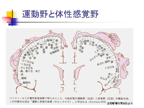 一般外来でみるしびれをどう考えるか 齋藤豊和先生 | 川村内科 一般外来でみるしびれをどう考えるか 齋藤豊和先生 | 川村内科
